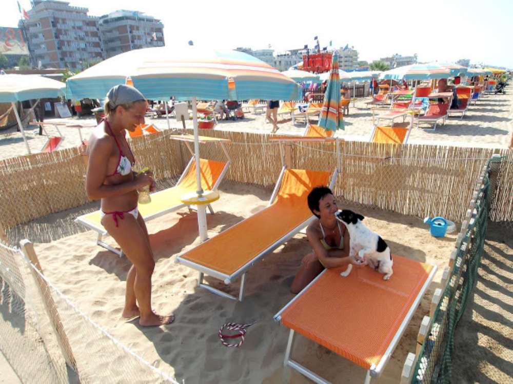 Rimini, una spiaggia dedicata ai caniAl Bagno 82 entra solo chi ... Rimini, una spiaggia dedicata ai caniAl Bagno 82 entra solo chi ...