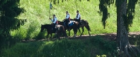 Appuntamenti di folklore e natura