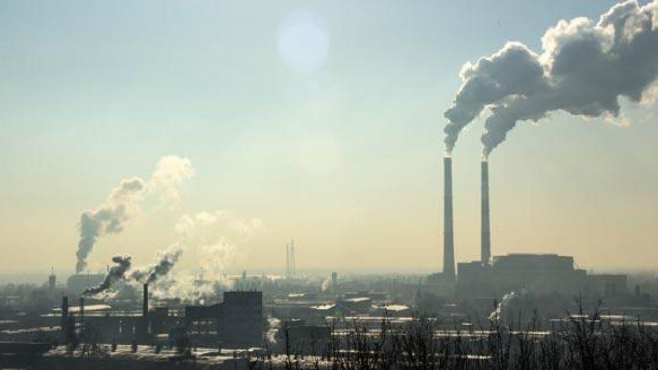 Germania, il tribunale: contro lo smog le città possono vietare le auto diesel