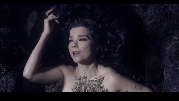 Bjork,MoMA