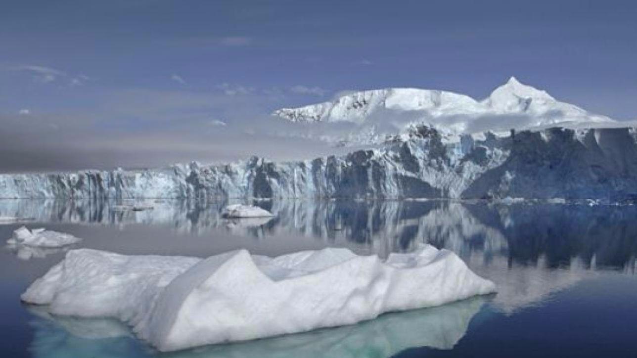 Global Warming, in Antartide a rischio il 79% degli invertebrati